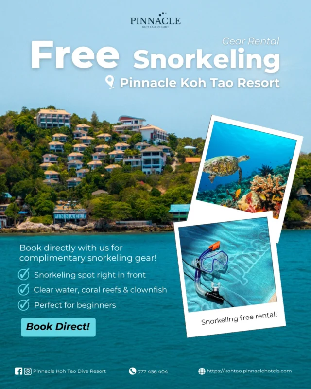 𝐁𝐨𝐨𝐤 𝐃𝐢𝐫𝐞𝐜𝐭 ที่ 𝐏𝐢𝐧𝐧𝐚𝐜𝐥𝐞 𝐊𝐨𝐡 𝐓𝐚𝐨 𝐑𝐞𝐬𝐨𝐫𝐭 
รับฟรี! ให้เช่าอุปกรณ์ดำน้ำตื้น Snorkeling 🤿 
เมื่อจองตรงกับทางโรงแรม
.
ดื่มด่ำความสวยงามกับการดำน้ำตื้น ในบริเวณทะเลหน้าโรงแรม แค่จองตรงกับเรา ฟรีให้เช่าอุปกรณ์ Snorkeling พร้อมดำน้ำใสๆ ชมปะการัง และปลาทะเลที่พบเห็นบ่อยอย่าง ปลาการ์ตูน  ปลาผีเสื้อ เต่าทะเล รวมถึงปลาขนาดเล็กตามแนวปะการัง อีกด้วยค่ะ 🐠
.
✔️ จุดดำน้ำตื้นหน้าโรงแรม
✔️ น้ำใส ปะการังสวย ปลาการ์ตูนมากมาย
✔️ เหมาะสำหรับมือใหม่
📍 Pinnacle Koh Tao Resort 
🚗บริการรถรับส่งจากรีสอร์ทสู่หาดทรายรี และท่าเรือแม่หาด พร้อมรอบฟรีระหว่างวัน !

✅จองกับโรงแรมโดยตรง การันตีราคาดีที่สุด ไม่มีบวกเพิ่ม! ไม่มีค่าธรรมเนียม
👉Book now, click on the Bio
_______________________________
For inquiries or reservations:
📲Line : @pinnaclehotels
☎ Phone : 077 456 404
📩 pktreservation1@gmail.com
📌Location : Koh Tao, Surat Thani

**** Terms and conditions apply.

#KohTao #FreeSnorkelingRental #BookDirect #PinnacleKohTao #IslandAdventure #SnorkelingThaila #Snorkelingfree #PinnacleKohTao #PinnacleKohTaoResort #KohTaoResort #beach  #IslandEscape  #kohtao #KohtaoAdventures #โรงแรมติดทะเล #ที่พักติดทะเล #รถรับส่งเกาะเต่า #เที่ยวเกาะเต่า #รีสอร์ทเกาะเต่า #ท่าเรือแม่หาด #หาดทรายรี #เกาะเต่า #โรงแรมเกาะเต่า #จองตรงคุ้มกว่า #ทะเลเกาะเต่า