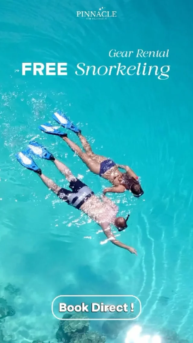 𝐁𝐨𝐨𝐤 𝐃𝐢𝐫𝐞𝐜𝐭 at 𝐏𝐢𝐧𝐧𝐚𝐜𝐥𝐞 𝐊𝐨𝐡 𝐓𝐚𝐨 𝐑𝐞𝐬𝐨𝐫𝐭 
and get FREE snorkeling gear rental ! 🤿
Book Direct : Book now, click on The Bio
.
Immerse yourself in the stunning underwater world right in front of our resort. No need to bring your own gear. No extra cost. Just book direct with us and enjoy snorkeling in crystal-clear waters, vibrant coral reefs, and meet friendly marine life like clownfish, butterflyfish, sea turtles and colorful reef fish 
.
✓ Snorkeling spot just steps from the resort
✓ Clear water, beautiful corals & clownfish
✓ Perfect for beginners
.
📍 Pinnacle Koh Tao Resort 
🚗 Shuttle Service!
From the resort to Sairee Beach & Mae Haad Pier —free shuttle service during the day!
.
👉 Book now, click on The Bio
✅Get the best price guaranteed when you book directly with us! No hidden fees, no extra charges.
____________________________
For inquiries or reservations: 
Line : @pinnaclehotels 
Website : https://kohtao.pinnaclehotels.com
Phone : 077 456 404
pktreservation1@gmail.com
Location : Koh Tao, Surat Thani

**** Terms and conditions apply.

#KohTao #FreeSnorkelingRental #BookDirect #PinnacleKohTao #IslandAdventure #SnorkelingThaila #Snorkelingfree #PinnacleKohTao #PinnacleKohTaoResort #KohTaoResort #IslandEscape #kohtao #KohtaoAdventures #ที่พักติดทะเล #รถรับส่งเกาะเต่า #เที่ยวเกาะเต่า #รีสอร์ทเกาะเต่า #ท่าเรือแม่หาด #หาดทรายรี #เกาะเต่า #โรงแรมเกาะเต่า #ทะเลเกาะเต่า #เที่ยวทะเลเกาะเต่า #ดำน้ำเกาะเต่า #ดำน้ำอ่าวจุลเจือ #อ่าวจุลเจือ