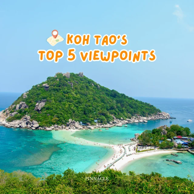 ✨ Koh Tao isn’t just about crystal-clear seas — it also has 5 must-visit viewpoints you can’t miss!

• John Suwan Viewpoint – A short hike with a rewarding panorama of Shark Bay and Chalok Baan Kao, plus surprise views of Koh Phangan on clear days.
• Two View & Fraggle Rock – See both Sairee Beach and Tanote Bay in one glance. Fraggle Rock is perfect for adventurers seeking raw, untouched scenery.
• Mango Viewpoint – The highest viewpoint on the island, complete with a chill bar for the most romantic sunset vibes.
• Love @ Koh Tao – Easy access with a café and plenty of photo spots. Ideal for families and those wanting relaxed Tanote Bay views.
• Grape & West Coast Viewpoints – Peaceful spots with full views of Koh Nang Yuan or free sunset views with no entry fee.
.
👉Book now, click on the Bio
_______________________________

For inquiries or reservations:
📲Line : @pinnaclehotels
☎ Phone : 077 456 404
📩 pktreservation1@gmail.com
📌Location : Koh Tao, Surat Thani

**** Terms and conditions apply.

#KohTaoViewpoints #KohTao #PinnacleKohTao #IslandAdventure #PinnacleKohTao #PinnacleKohTaoResort #KohTaoResort #kohtao #KohtaoAdventures #โรงแรมติดทะเล #ที่พักติดทะเล #รถรับส่งเกาะเต่า #เที่ยวเกาะเต่า #รีสอร์ทเกาะเต่า #ท่าเรือแม่หาด #หาดทรายรี #เกาะเต่า #โรงแรมเกาะเต่า #จองตรงคุ้มกว่า #ทะเลเกาะเต่า