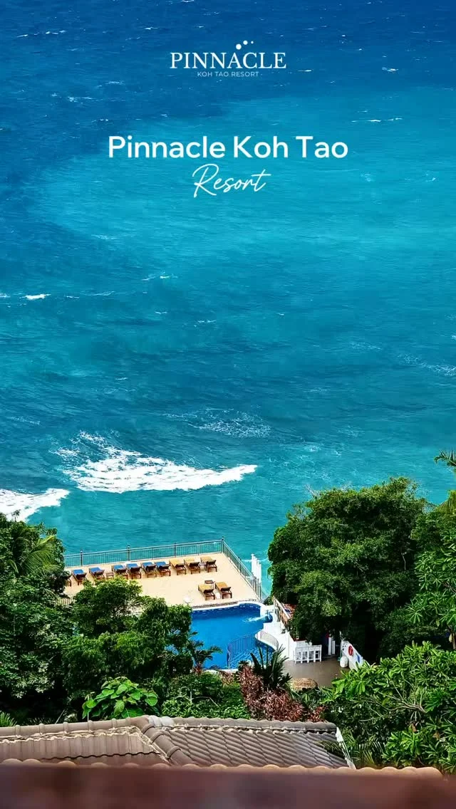 “Relax with a million-dollar view 🌊 Every room offers a 180° panoramic ocean view”
.
Exclusive Benefit:
• Daily breakfast for 2 adults
• Children under 7 stay & eat breakfast for free
• Complimentary Drinks
• Free Wi-Fi
.
👉Book now, click on the Bio
_______________________________
For inquiries or reservations:
📲Line : @pinnaclehotels
☎ Phone : 077 456 404
📩 pktreservation1@gmail.com
📌Location : Koh Tao, Surat Thani

**** Terms and conditions apply.

#KohTao #FreeSnorkelingRental #BookDirect #PinnacleKohTao #IslandAdventure #Snorkelingfree #PinnacleKohTao #PinnacleKohTaoResort #KohTaoResort #kohtao #KohtaoAdventures #โรงแรมติดทะเล #ที่พักติดทะเล #รถรับส่งเกาะเต่า #เที่ยวเกาะเต่า #รีสอร์ทเกาะเต่า #ท่าเรือแม่หาด #หาดทรายรี #เกาะเต่า #โรงแรมเกาะเต่า #จองตรงคุ้มกว่า #ทะเลเกาะเต่า