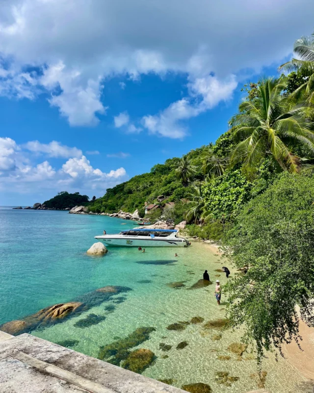 Escape the hustle and unwind 
at a private resort with 180-degree sea-view rooms, 
a private beach, and beachfront snorkeling.🤿🏝️
.
Book direct on our website — super easy!
✅ Best price guaranteed — Book directly with us
✅ More room options — Choose the room that fits your needs from a wide range of types.
✅ Easy support — Change your dates, check availability, or ask questions. We're ready to help every day on Facebook from 9:00 AM to 9:00 PM.
✅ Enjoy 10% off food & non-alcoholic drinks when booking direct
.
👉 Book now, click on the Bio
____________________________
หลีกหนีความวุ่นวาย มาสัมผัสรีสอร์ทห้องพักพร้อมวิวทะเล 180 องศา 
ชายหาดส่วนตัว และดำน้ำตื้นหน้าหาด 🤿🏝️
.
จองตรงผ่านเว็บไซต์ของเรา — ง่ายสุดๆ!
✅ การันตีราคาดีที่สุด เมื่อจองตรงกับเรา
✅ ตัวเลือกห้องพักมากกว่า เลือกห้องที่ตรงกับความต้องการได้หลากหลาย
✅ บริการช่วยเหลือสะดวก เปลี่ยนวันเข้าพัก ตรวจสอบห้องว่าง หรือสอบถามข้อมูลต่างๆ เราพร้อมดูแลทุกวันผ่าน Facebook ตั้งแต่เวลา 09:00–21:00 น.
✅ รับส่วนลด 10% สำหรับอาหารและเครื่องดื่มไม่มีแอลกอฮอล์ เมื่อจองตรง
ระยะเวลาการจองและการเข้าพัก: 1 มกราคม – 31 ธันวาคม 2026
.
👉 จองเลย คลิกที่ Bio ได้ทันที
____________________________
Contact us for more information:
📱 Line : @pinnaclehotels
☎️ Phone : 077 456 404
✉️ pktreservation1@gmail.com
📍 Location : Koh Tao, Surat Thani

**** Terms and conditions apply.

#EarlyBierd #EarlyBierdPromotion #KohTao
#FreeSnorkelingRental #BookDirect #PinnacleKohTao
#IslandAdventure #SnorkelingThaila #Snorkelingfree
#PinnacleKohTao #PinnacleKohTaoResort
#KohTaoResort #kohtao #KohTaoAdventures #โรงแรมติดทะเล
#ที่พักติดทะเล #รถรับส่งเกาะเต่า #เที่ยวเกาะเต่า #รีสอร์ทเกาะเต่า
#ท่าเรือแม่หาด #หาดทรายรี #เกาะเต่า #โรงแรมเกาะเต่า
#จองตรงคุ้มกว่า #ทะเลเกาะเต่า