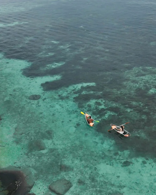 Relax amid lush green nature, complemented by a seaside atmosphere that completes every moment. 🌿🌊
.
Book direct on our website — super easy!
✅ Best price guaranteed — Book directly with us
✅ More room options — Choose the room that fits your needs from a wide range of types.
✅ Easy support — Change your dates, check availability, or ask questions. We're ready to help every day on Facebook from 9:00 AM to 9:00 PM.
✅ Enjoy 10% off food & non-alcoholic drinks when booking direct
.
👉 Book now, click on the Bio
____________________________
พักผ่อนท่ามกลางธรรมชาติสีเขียว พร้อมบรรยากาศทะเลที่เติมเต็มทุกช่วงเวลา 🌿🌊
.
จองตรงผ่านเว็บไซต์ของเรา — ง่ายสุดๆ!
✅ การันตีราคาดีที่สุด เมื่อจองตรงกับเรา
✅ ตัวเลือกห้องพักมากกว่า เลือกห้องที่ตรงกับความต้องการได้หลากหลาย
✅ บริการช่วยเหลือสะดวก เปลี่ยนวันเข้าพัก ตรวจสอบห้องว่าง หรือสอบถามข้อมูลต่างๆ เราพร้อมดูแลทุกวันผ่าน Facebook ตั้งแต่เวลา 09:00–21:00 น.
✅ รับส่วนลด 10% สำหรับอาหารและเครื่องดื่มไม่มีแอลกอฮอล์ เมื่อจองตรง
ระยะเวลาการจองและการเข้าพัก: 1 มกราคม – 31 ธันวาคม 2026
.
👉 จองเลย คลิกที่ Bio ได้ทันที
____________________________
Contact us for more information:
📱 Line : @pinnaclehotels
☎️ Phone : 077 456 404
✉️ pktreservation1@gmail.com
📍 Location : Koh Tao, Surat Thani

**** Terms and conditions apply.

#EarlyBierd #EarlyBierdPromotion #KohTao
#FreeSnorkelingRental #BookDirect #PinnacleKohTao
#IslandAdventure #SnorkelingThaila #Snorkelingfree
#PinnacleKohTao #PinnacleKohTaoResort
#KohTaoResort #kohtao #KohTaoAdventures #โรงแรมติดทะเล
#ที่พักติดทะเล #รถรับส่งเกาะเต่า #เที่ยวเกาะเต่า #รีสอร์ทเกาะเต่า
#ท่าเรือแม่หาด #หาดทรายรี #เกาะเต่า #โรงแรมเกาะเต่า
#จองตรงคุ้มกว่า #ทะเลเกาะเต่า