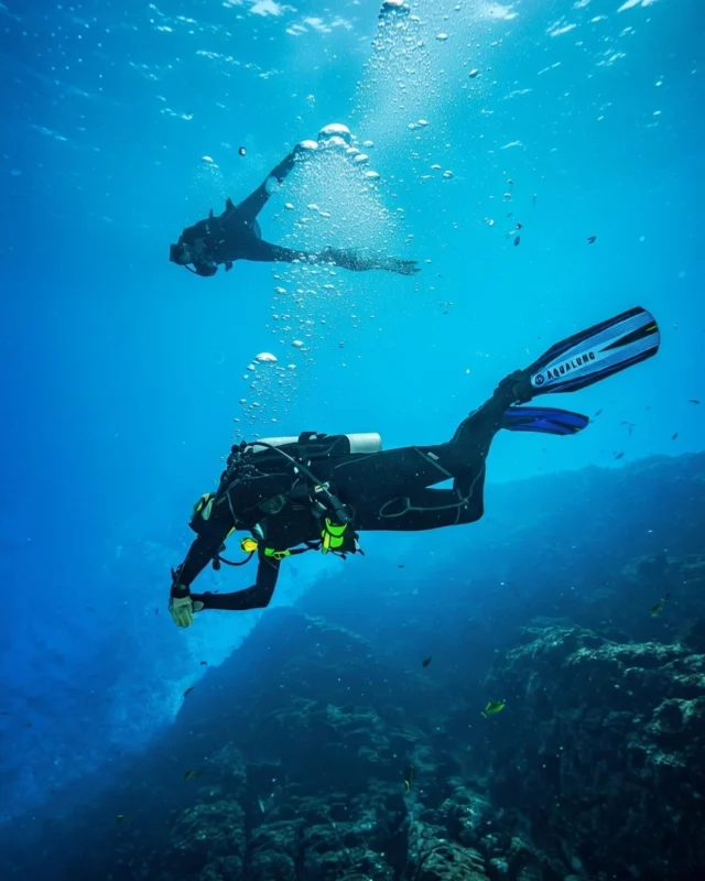 Discover the breathtaking underwater world of Koh Tao
Vibrant colors and unforgettable marine life await
Just a few steps from your stay
Enjoy exclusive privileges when you book direct with us
.
Book direct on our website — super easy!
✅ Best price guaranteed – Book directly with us
✅ More room options – Choose the room that fits your needs from a wide range of types.
✅ Easy support – Change your dates, check availability, or ask questions. We’re ready to help every day on Facebook from 9:00 AM to 9:00 PM.
✅ Enjoy 10% off food & non-alcoholic drinks when booking direct
Booking & Stay Date period: 1 Jan - 31 Dec 2026
.
👉Book via chat direct : https://lin.ee/dMVZtMv
Or Click Book Now : https://shorturl.at/zoWdS
____________________________
ค้นพบโลกใต้น้ำอันงดงามของเกาะเต่า
 สีสันสดใส ชวนตื่นตา
 เพียงไม่กี่ก้าวจากที่พักของคุณ
 พร้อมรับสิทธิพิเศษเมื่อจองตรงกับเรา
.
จองตรงผ่านเว็บไซต์ของเรา — ง่ายสุดๆ!
✅ การันตีราคาดีที่สุด เมื่อจองตรงกับเรา
✅ ตัวเลือกห้องพักมากกว่า เลือกห้องที่ตรงกับความต้องการได้หลากหลาย
✅ บริการช่วยเหลือสะดวก เปลี่ยนวันเข้าพัก ตรวจสอบห้องว่าง หรือสอบถามข้อมูลต่างๆ เราพร้อมดูแลทุกวันผ่าน Facebook ตั้งแต่เวลา 09:00–21:00 น.
✅ รับส่วนลด 10% สำหรับอาหารและเครื่องดื่มไม่มีแอลกอฮอล์ เมื่อจองตรง
ระยะเวลาการจองและการเข้าพัก: 1 มกราคม – 31 ธันวาคม 2026
.
👉 จองผ่านแชตโดยตรง: https://lin.ee/dMVZtMv
หรือคลิกจองเลย: https://shorturl.at/zoWdS
____________________________
For more information:
Inbox : m.me/PinnacleKohTaoDiveResort
Line : https://lin.ee/dMVZtMv
Website : https://kohtao.pinnaclehotels.com
Phone : 077 456 404
pktreservation1@gmail.com
Location : Koh Tao, Surat Thani
Google map : https://maps.app.goo.gl/vV4LWqGp9NjRjXuK8

*** Terms and conditions apply***

#EarlyBierd #EarlyBierdPromotion #KohTao #FreeSnorkelingRental #BookDirect #PinnacleKohTao #IslandAdventure #SnorkelingThaila #Snorkelingfree #PinnacleKohTao #PinnacleKohTaoResort #KohTaoResort #kohtao #KohtaoAdventures #โรงแรมติดทะเล #ที่พักติดทะเล #รถรับส่งเกาะเต่า #เที่ยวเกาะเต่า #รีสอร์ทเกาะเต่า #ท่าเรือแม่หาด #หาดทรายรี #เกาะเต่า #โรงแรมเกาะเต่า #จองตรงคุ้มกว่า #ทะเลเกาะเต่า