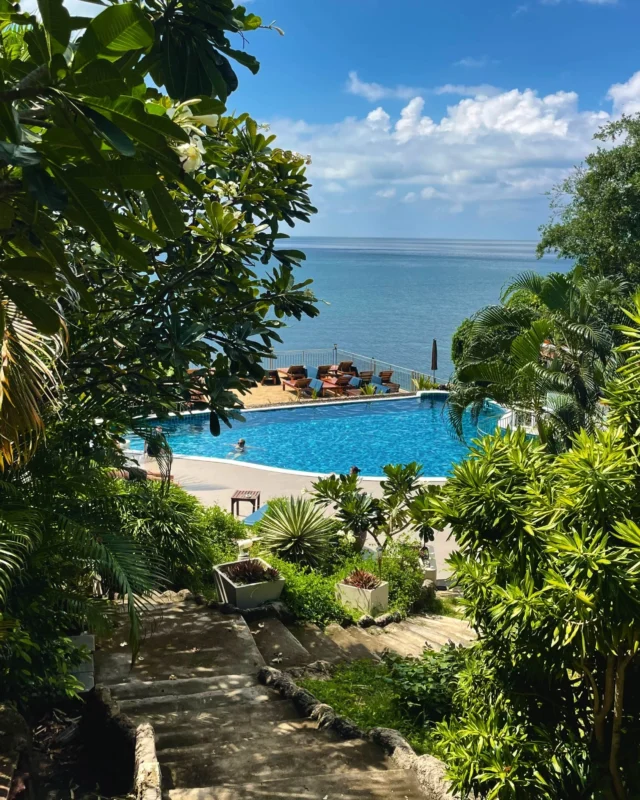 Island Life is Calling 
This summer, it has to be Koh Tao

Immerse yourself in ocean views,
a seaside swimming pool,
and nature all around

Book direct with us
and enjoy exclusive privileges
.
Book direct on our website — super easy!
✅ Best price guaranteed – Book directly with us
✅ More room options – Choose the room that fits your needs from a wide range of types.
✅ Easy support – Change your dates, check availability, or ask questions. We’re ready to help every day on Facebook from 9:00 AM to 9:00 PM.
✅ Enjoy 10% off food & non-alcoholic drinks when booking direct
Booking & Stay Date period: 1 Jan - 31 Dec 2026
.
👉Book via chat direct : https://lin.ee/dMVZtMv
Or Click Book Now : https://shorturl.at/zoWdS
____________________________
sland Life is Calling 
ซัมเมอร์นี้ต้องที่ “เกาะเต่า”

ดื่มด่ำวิวทะเล สระว่ายน้ำริมทะเล
และธรรมชาติที่โอบล้อม

จองตรงกับเรา
รับสิทธิพิเศษเฉพาะคุณ 
.
จองตรงผ่านเว็บไซต์ของเรา — ง่ายสุดๆ!
✅ การันตีราคาดีที่สุด เมื่อจองตรงกับเรา
✅ ตัวเลือกห้องพักมากกว่า เลือกห้องที่ตรงกับความต้องการได้หลากหลาย
✅ บริการช่วยเหลือสะดวก เปลี่ยนวันเข้าพัก ตรวจสอบห้องว่าง หรือสอบถามข้อมูลต่างๆ เราพร้อมดูแลทุกวันผ่าน Facebook ตั้งแต่เวลา 09:00–21:00 น.
✅ รับส่วนลด 10% สำหรับอาหารและเครื่องดื่มไม่มีแอลกอฮอล์ เมื่อจองตรง
ระยะเวลาการจองและการเข้าพัก: 1 มกราคม – 31 ธันวาคม 2026
.
👉 จองผ่านแชตโดยตรง: https://lin.ee/dMVZtMv
หรือคลิกจองเลย: https://shorturl.at/zoWdS
____________________________
For more information:
Inbox : m.me/PinnacleKohTaoDiveResort
Line : https://lin.ee/dMVZtMv
Website : https://kohtao.pinnaclehotels.com
Phone : 077 456 404
pktreservation1@gmail.com
Location : Koh Tao, Surat Thani
Google map : https://maps.app.goo.gl/vV4LWqGp9NjRjXuK8

*** Terms and conditions apply***

#EarlyBierd #EarlyBierdPromotion #KohTao #FreeSnorkelingRental #BookDirect #PinnacleKohTao #IslandAdventure #SnorkelingThaila #Snorkelingfree #PinnacleKohTao #PinnacleKohTaoResort #KohTaoResort #kohtao #KohtaoAdventures #โรงแรมติดทะเล #ที่พักติดทะเล #รถรับส่งเกาะเต่า #เที่ยวเกาะเต่า #รีสอร์ทเกาะเต่า #ท่าเรือแม่หาด #หาดทรายรี #เกาะเต่า #โรงแรมเกาะเต่า #จองตรงคุ้มกว่า #ทะเลเกาะเต่า