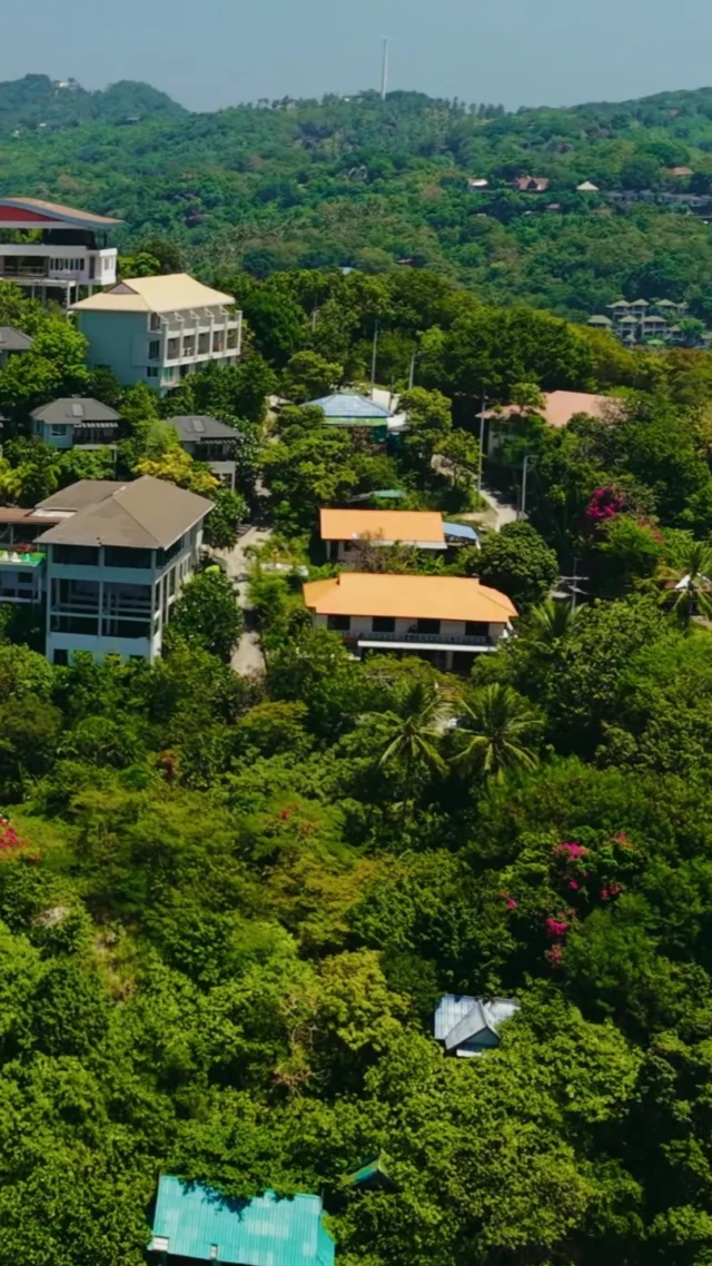 In the weightless silence, the sea of Koh Tao embraces you until the world outside simply fades away. 
Some places aren't found by maps; they find you
Welcome to Pinnacle Koh Tao Resort

#KohTao #FreeSnorkelingRental #BookDirect #PinnacleKohTao #IslandAdventure #Snorkelingfree #PinnacleKohTao #PinnacleKohTaoResort #KohTaoResort #kohtao #KohtaoAdventures #โรงแรมติดทะเล #ที่พักติดทะเล #รถรับส่งเกาะเต่า #เที่ยวเกาะเต่า #รีสอร์ทเกาะเต่า #ท่าเรือแม่หาด #หาดทรายรี #เกาะเต่า #โรงแรมเกาะเต่า #จองตรงคุ้มกว่า #ทะเลเกาะเต่า