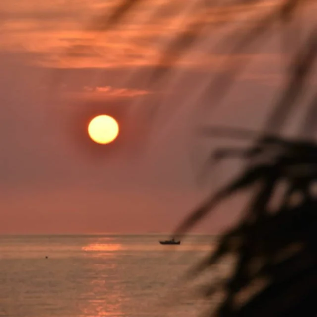 Some moments are simply too beautiful to experience through a screen.
Watch the sun slowly sink below the horizon from your private balcony, overlooking a breathtaking 180° panoramic ocean view. Let the golden hues of sunset and the gentle sound of the waves create the peaceful escape you've been dreaming of.

📍 Pinnacle Koh Tao Resort
✨ Your front-row seat to paradise awaits.
.
Book direct on our website — super easy!
✅ Best price guaranteed – Book directly with us
✅ More room options – Choose the room that fits your needs from a wide range of types.
✅ Easy support – Change your dates, check availability, or ask questions. We’re ready to help every day on Facebook from 9:00 AM to 9:00 PM.
✅ Enjoy 10% off food & non-alcoholic drinks when booking direct
Booking & Stay Date period: 1 Jan - 31 Dec 2026
.
👉 Book now, click on the Bio
.
Contact us for more information:
📱 Line : @pinnaclehotels
☎️ Phone : 077 456 404
✉️ pktreservation1@gmail.com
📍 Location : Koh Tao, Surat Thani

*** Terms and conditions apply***

#KohTao #BookDirect #PinnacleKohTao #IslandAdventure #PinnacleKohTao #PinnacleKohTaoResort #KohTaoResort #kohtao #KohtaoAdventures #โรงแรมติดทะเล #ที่พักติดทะเล #รถรับส่งเกาะเต่า #เที่ยวเกาะเต่า #รีสอร์ทเกาะเต่า #ท่าเรือแม่หาด #หาดทรายรี #เกาะเต่า #โรงแรมเกาะเต่า #จองตรงคุ้มกว่า #ทะเลเกาะเต่า